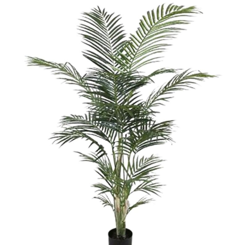 Planta Decorativa Palmera Areca 150Cm-1