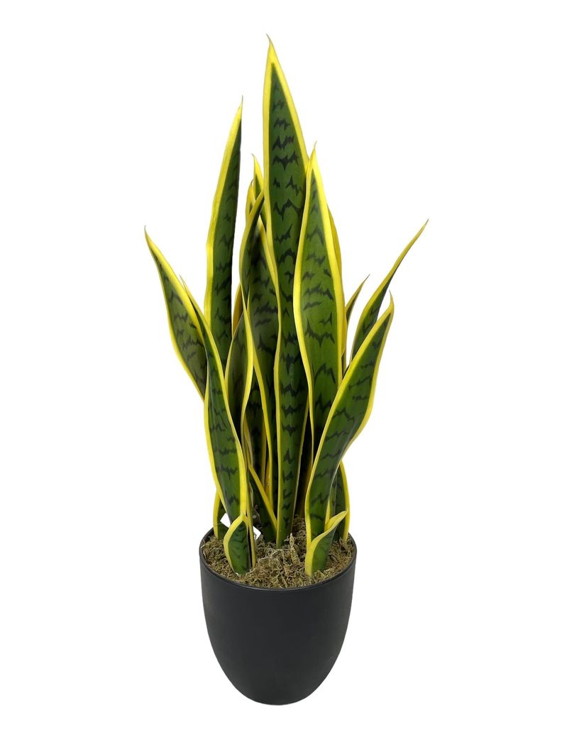 Sanseviera Amarilla de 69cm Artificial | Estilo Natural para Interiores y Vitrinas Amarillo