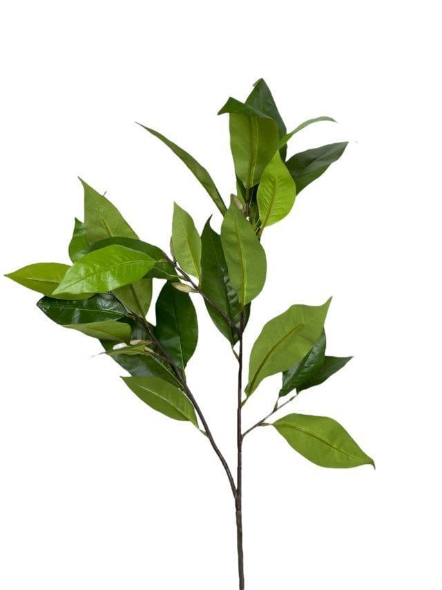 Rama Artificial Hojas Magnolia Verde 104cm Artificial | Estilo Natural para Interiores y Vitrinas