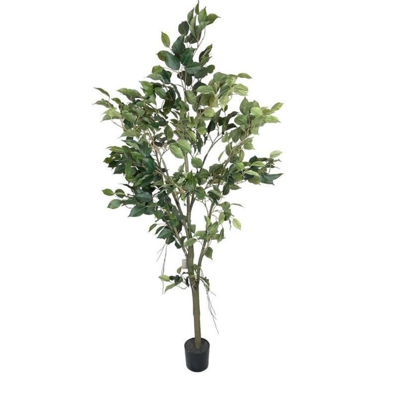 PLANTA DECORATIVA COREL ARBOL DE FICUS 150CM-0