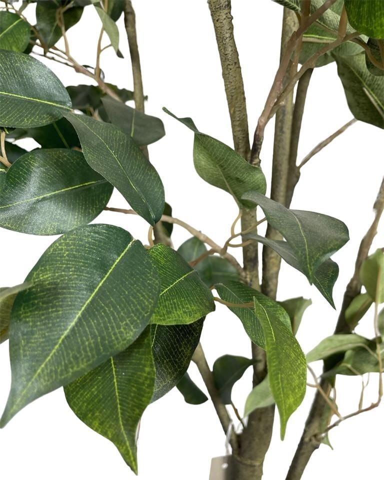 PLANTA DECORATIVA COREL ARBOL DE FICUS 150CM-1