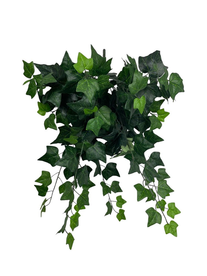 HIEDRA COLGANTE INGLESA DELUX CON FILTRO UV 58CM COREL Verde