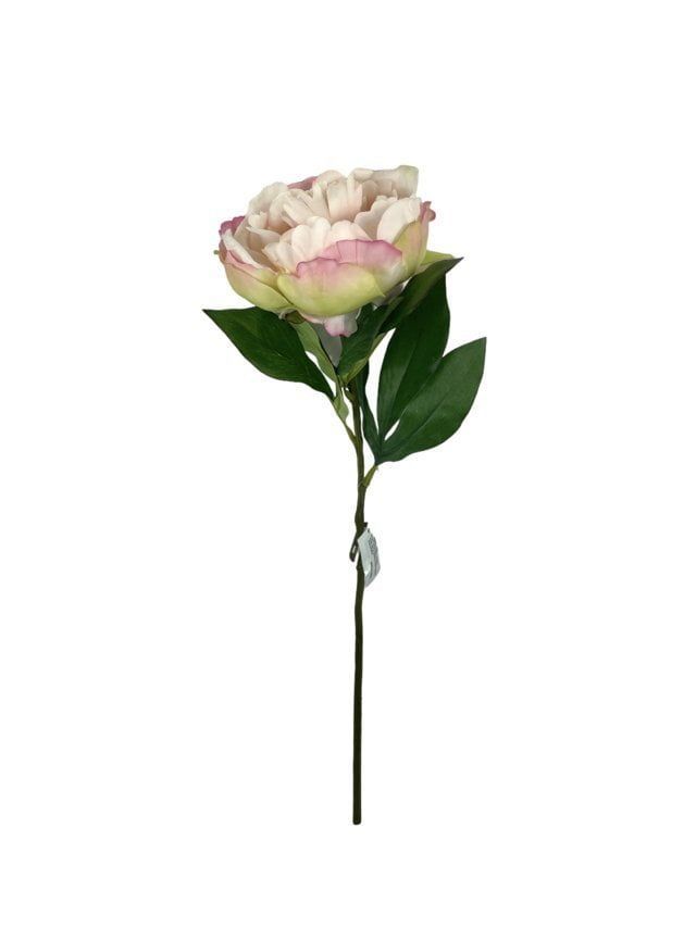 Peonia Damasco Simple 45cm Artificial | Estilo Natural para Interiores y Vitrinas