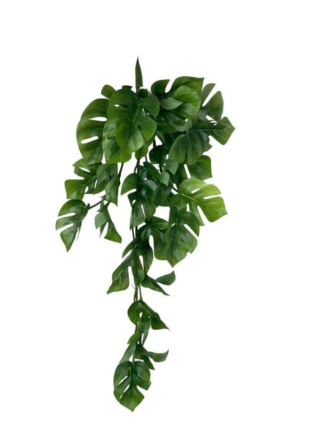 Hiedra Spathipylium 50cm Artificial | Estilo Natural para Interiores y Vitrinas Verde