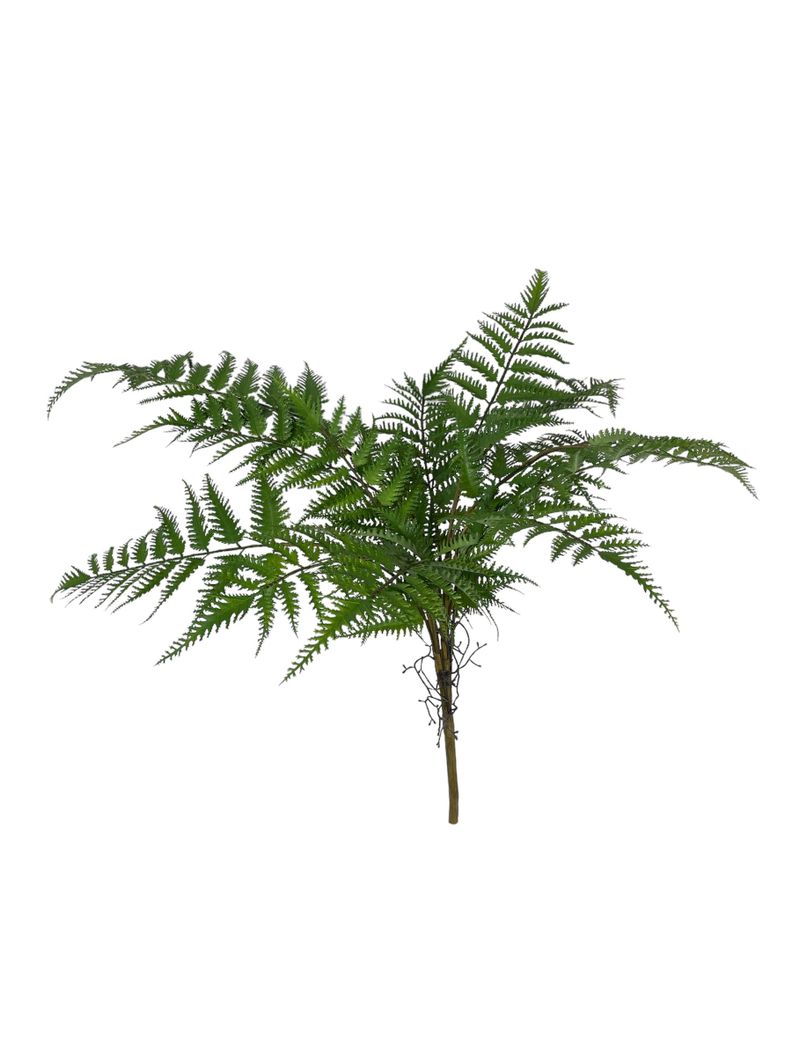 PLANTA DECORATIVA COREL HELECHO PLUMA 75CM-0