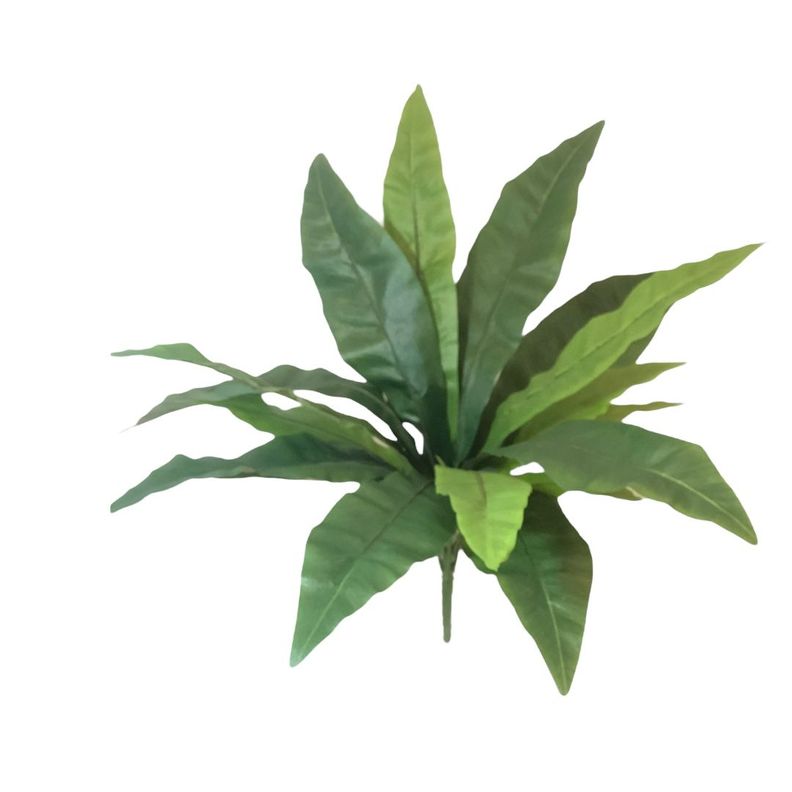 PLANTA DECORATIVA COREL HELECHO NIDO DE PAJARO 53CM-2