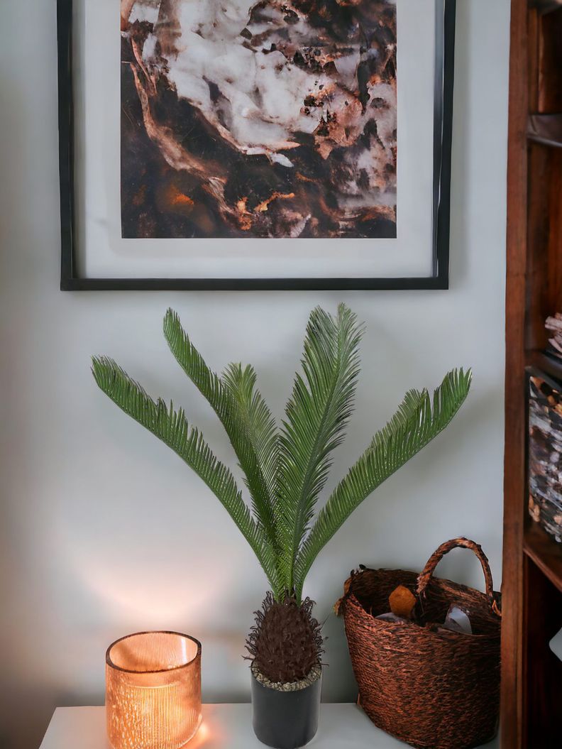 Planta Decorativa Palmera Cyca 110Cm-3