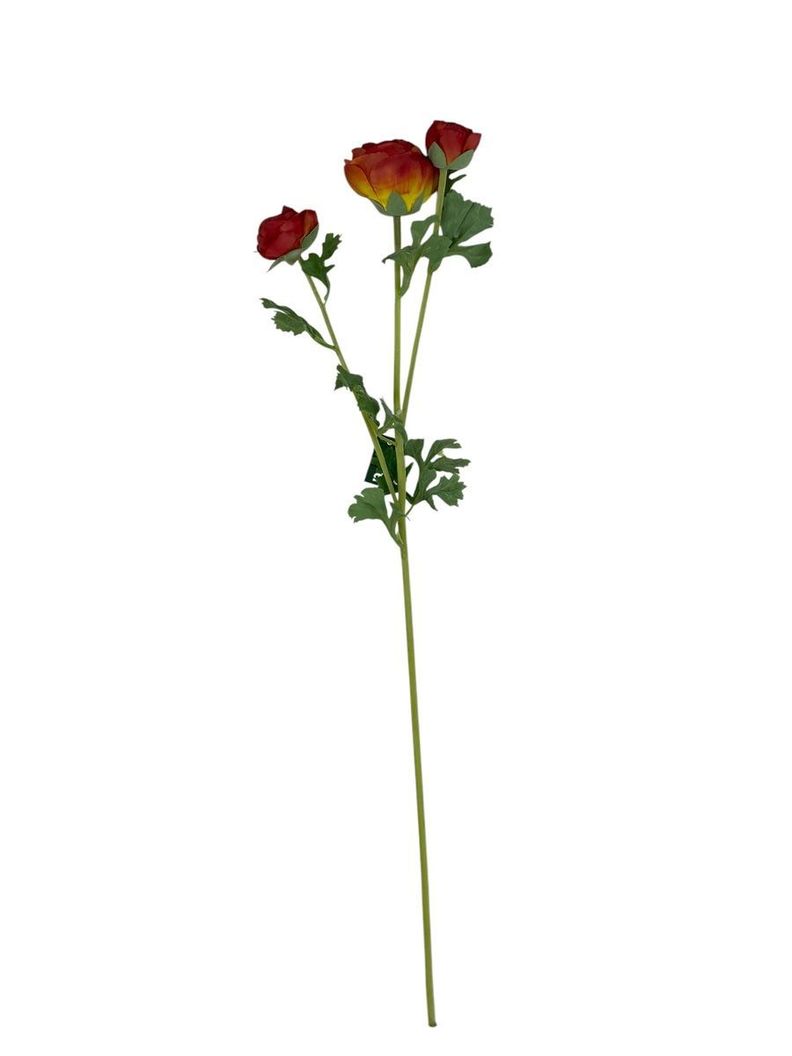 Ranunculo Rojo 73cm Con Textura Realista