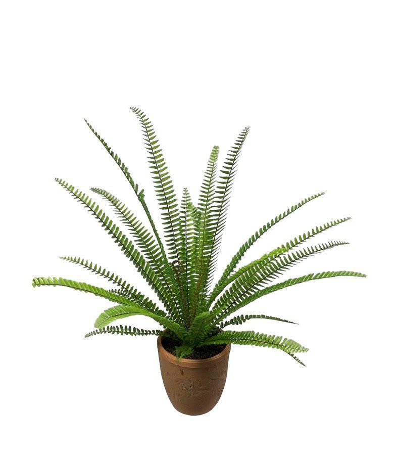PLANTA DECORATIVA COREL HELECHO ESPADA 61CM-0