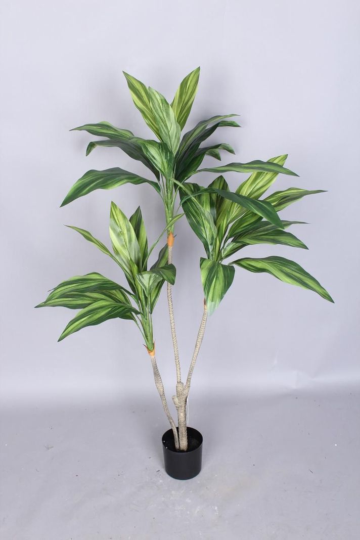 PLANTA DECORATIVA COREL ARBOL DRACENA 120CM-2