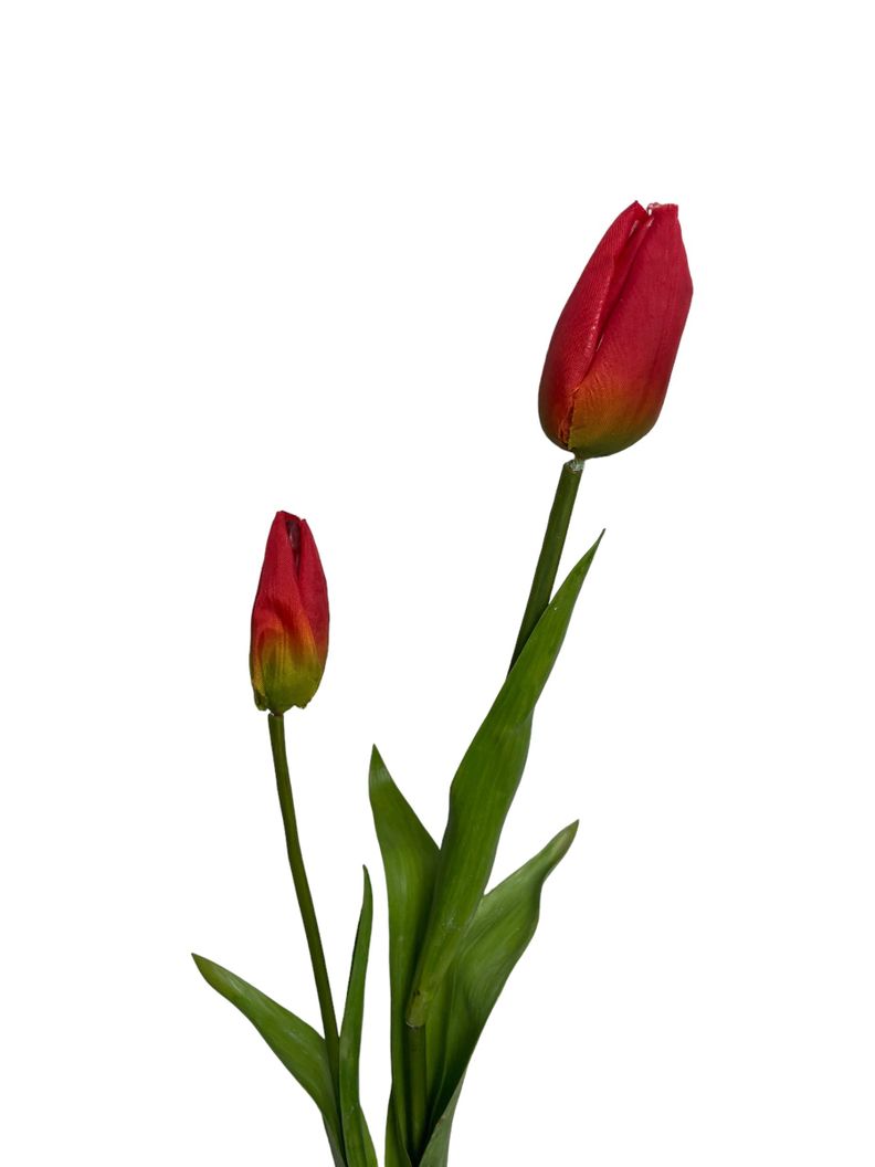Tulipan Roja 50cm