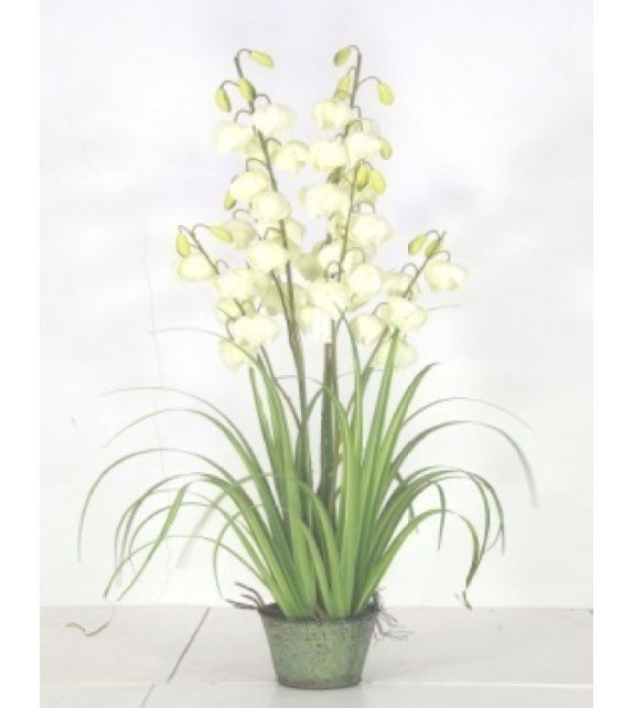 PLANTA DECORATIVA COREL PASTO CON FLOR CAMPANA 91CM Verde