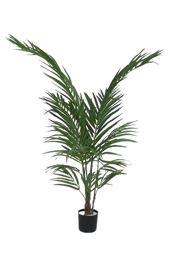Planta Decorativa Corel Palmera Areca 120cm-0