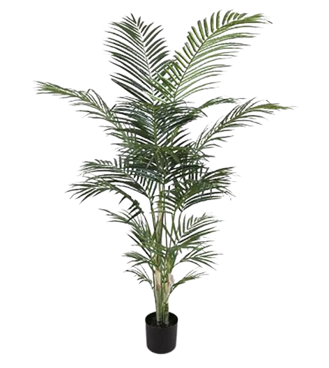 Planta Decorativa Corel Palmera Areca 120cm-1