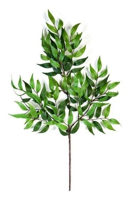 Planta Decorativa Rama Ruscus 50Cm Verde