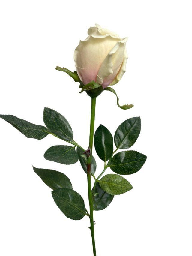 Rosa Crema 75cm Artificial | Estilo Natural para Interiores y Vitrinas