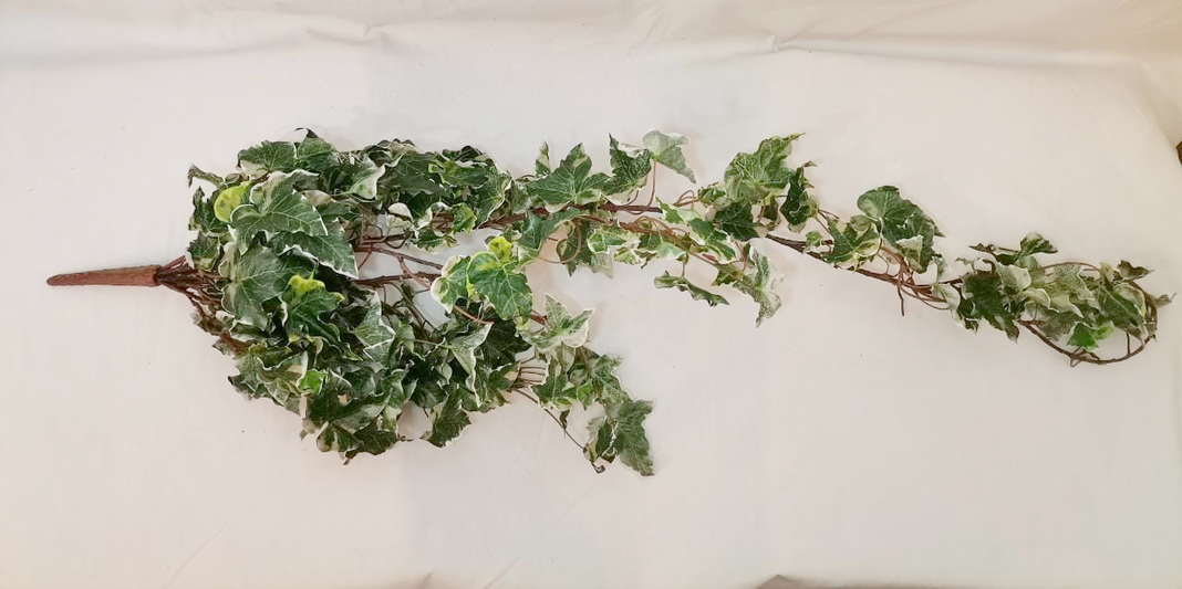 Hiedra Colgante Inglesa 100Cm-0