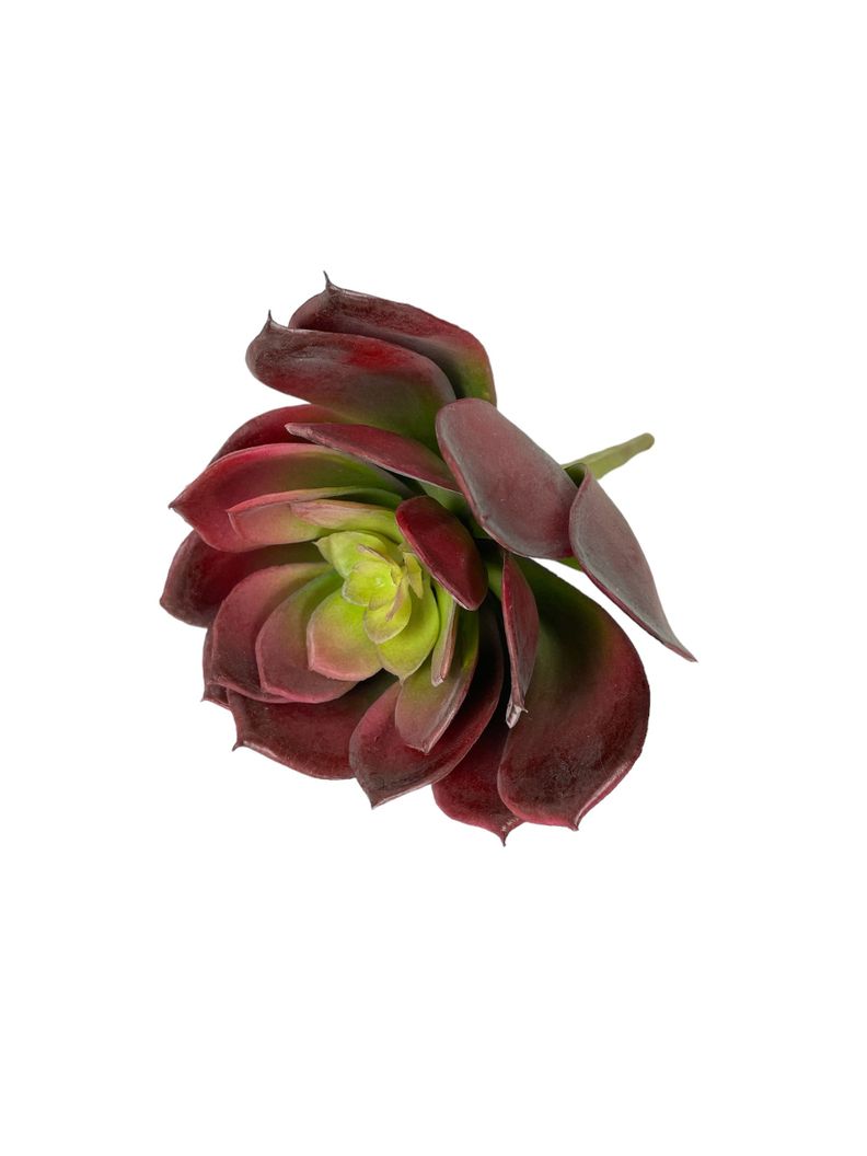 Cactus Decorativo Suculenta Roja 16Cm-2