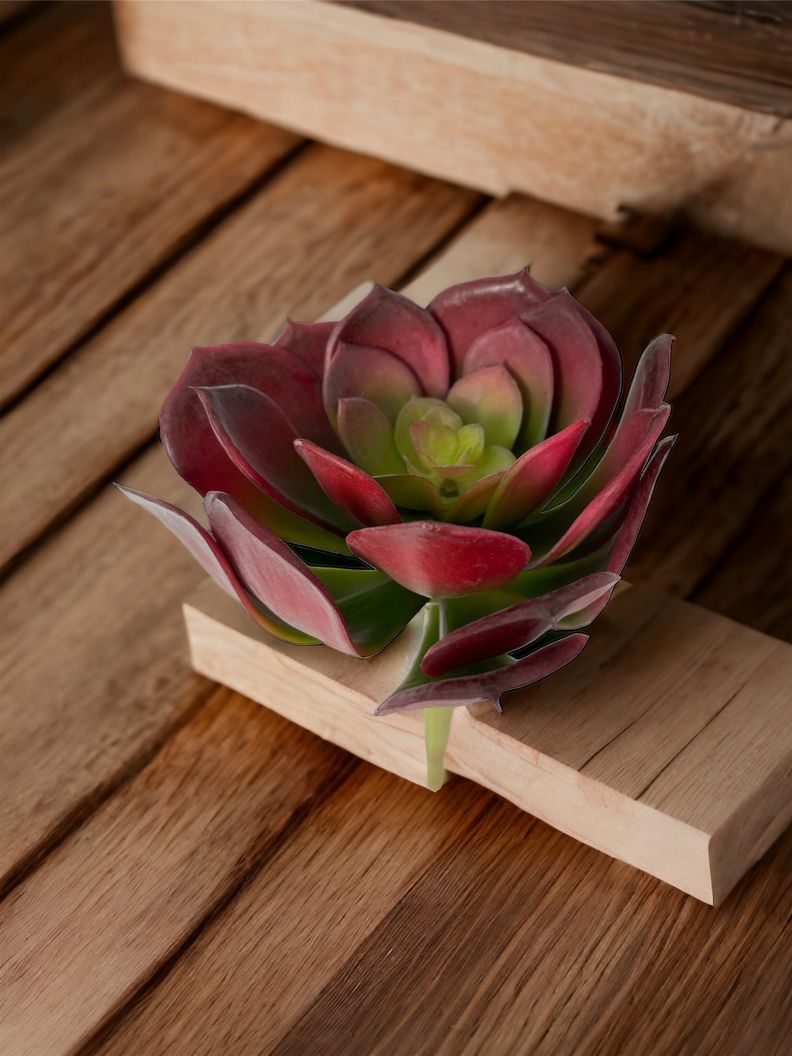 Cactus Decorativo Suculenta Roja 16Cm-3