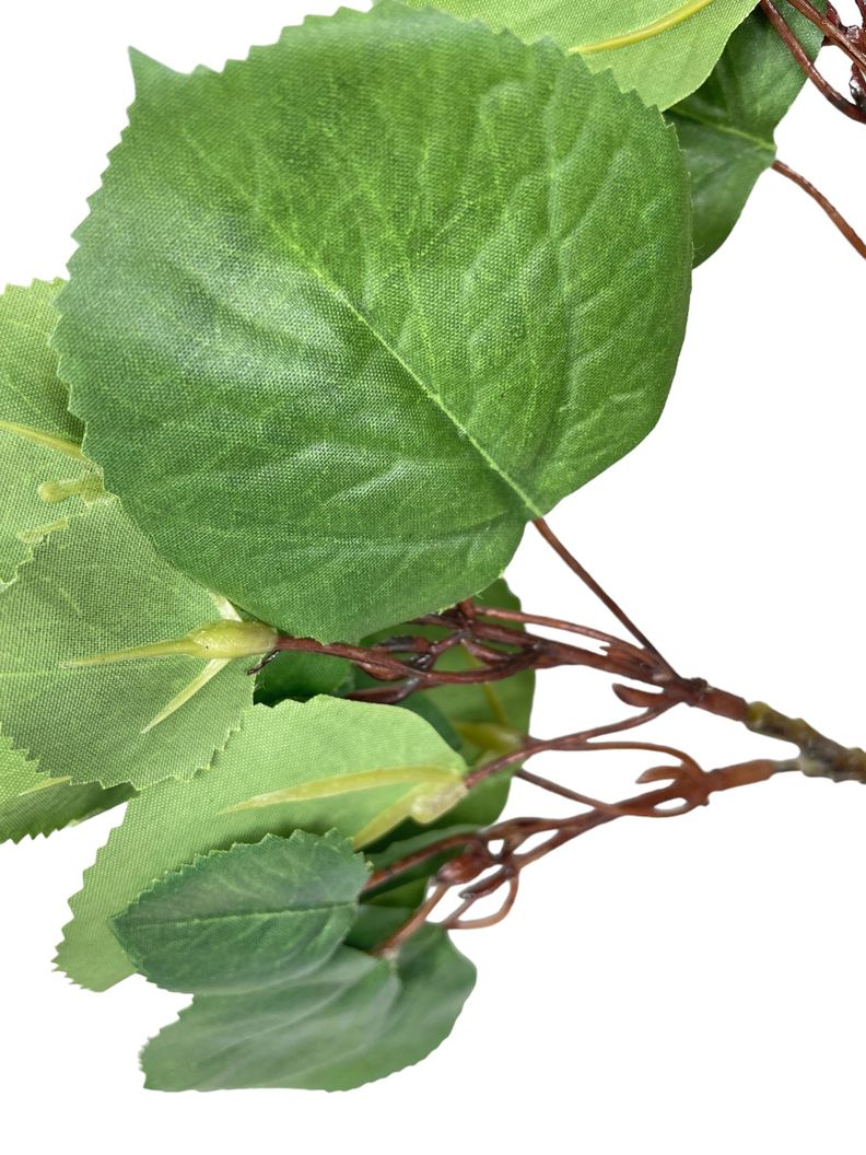 Rama Hoja Redonda 70cm Verde [ 300 ]