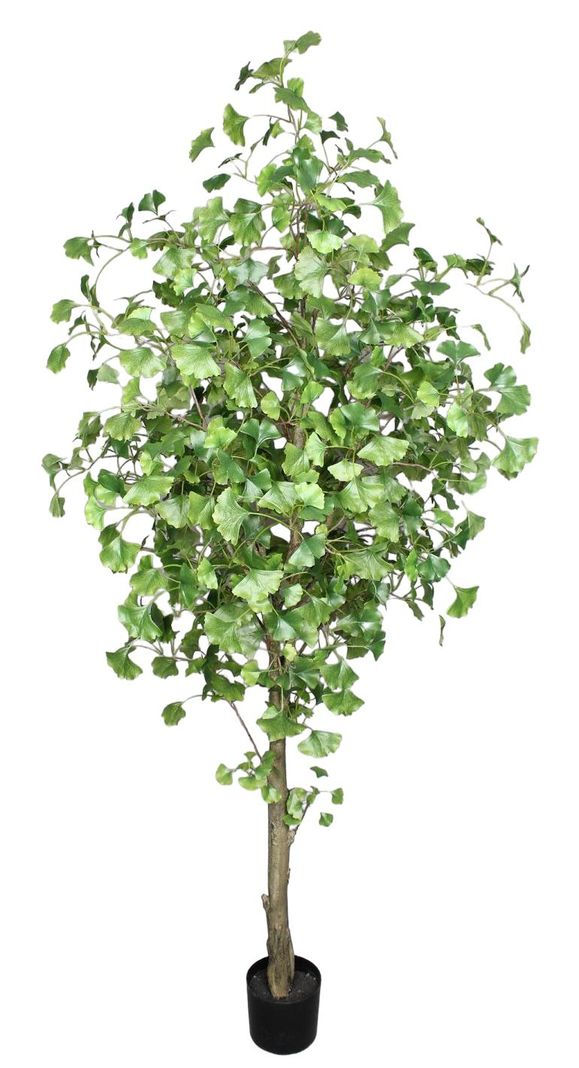 Planta Decorativa Arbol De Ginko 180Cm-0