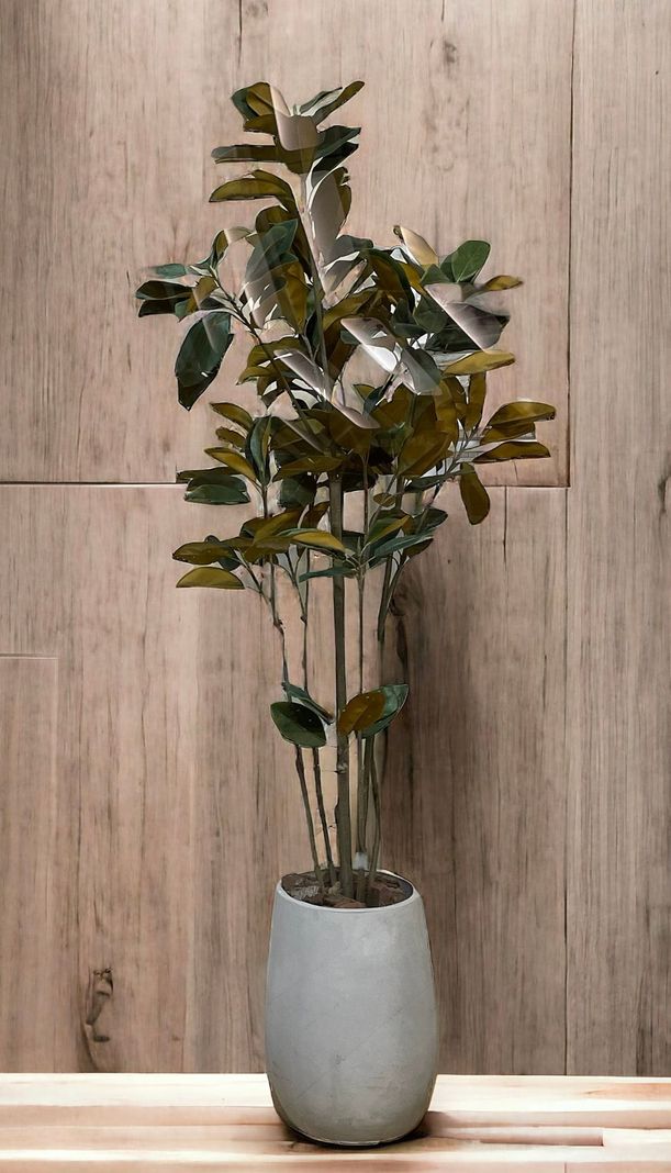 Planta Decorativa Arbol Magnolia Denudata 180Cm-1