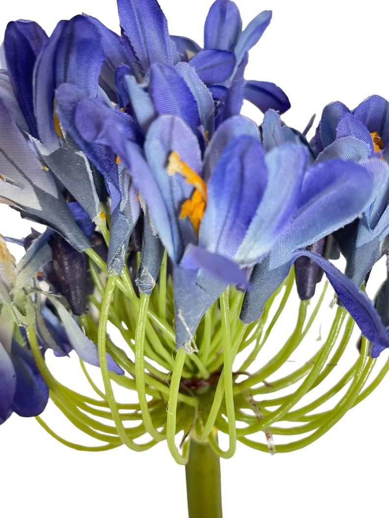 FLOR DECORATIVA COREL AGAPANTO AZUL 89CM-2