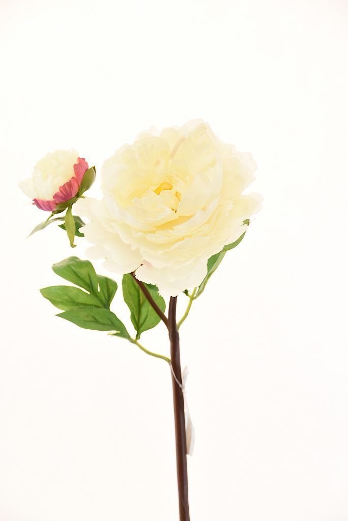 Flor Decorativa Peonia Con Boton Blanca 54Cm-0