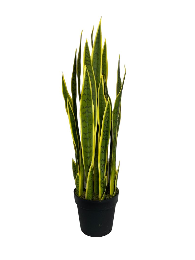 PLANTA DECORATIVA COREL SANSEVIERA VERDE - AMARILLA 90CM