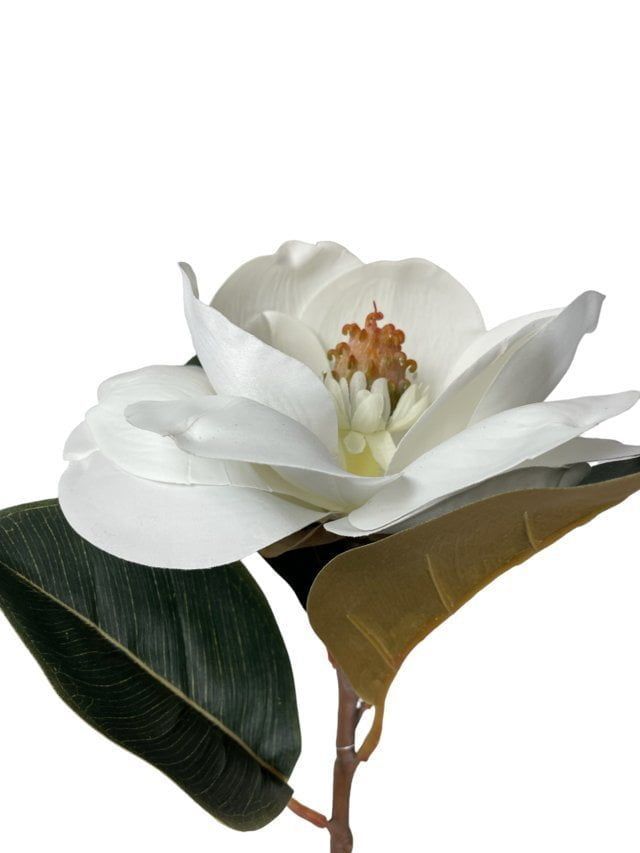 Magnolia Blanca 74cm Artificial | Estilo Natural para Interiores y Vitrinas Blanco