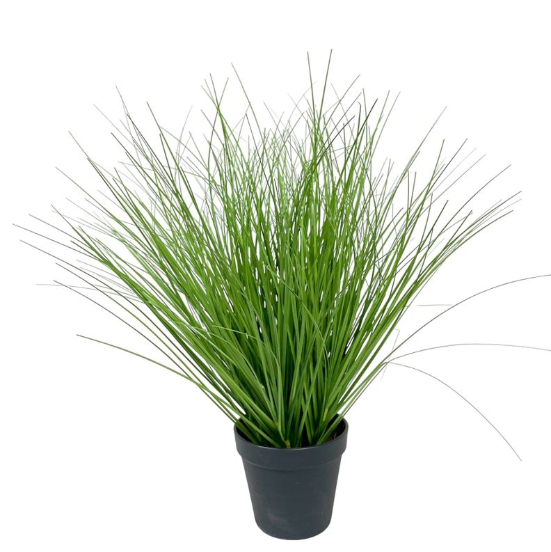 PLANTA DECORATIVA COREL PASTO CON CAIDA VERDE 45CM-0