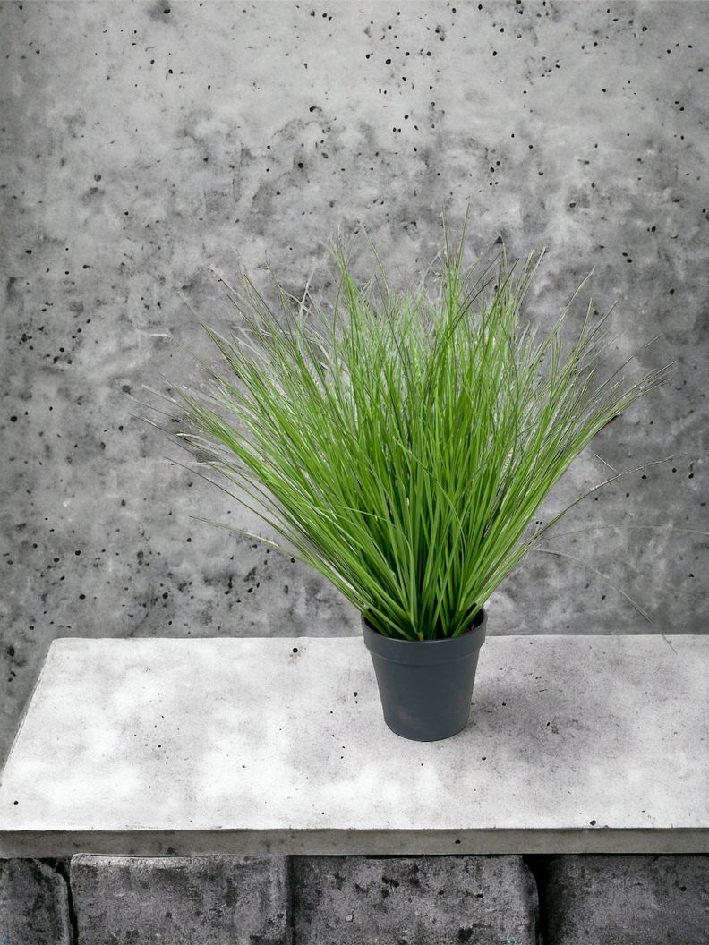 PLANTA DECORATIVA COREL PASTO CON CAIDA VERDE 45CM-1