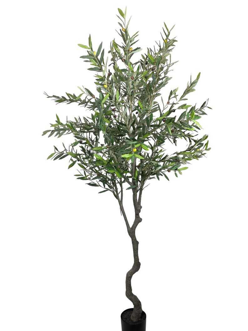 Arbol Olivo 240cm Verde [ 300 ]