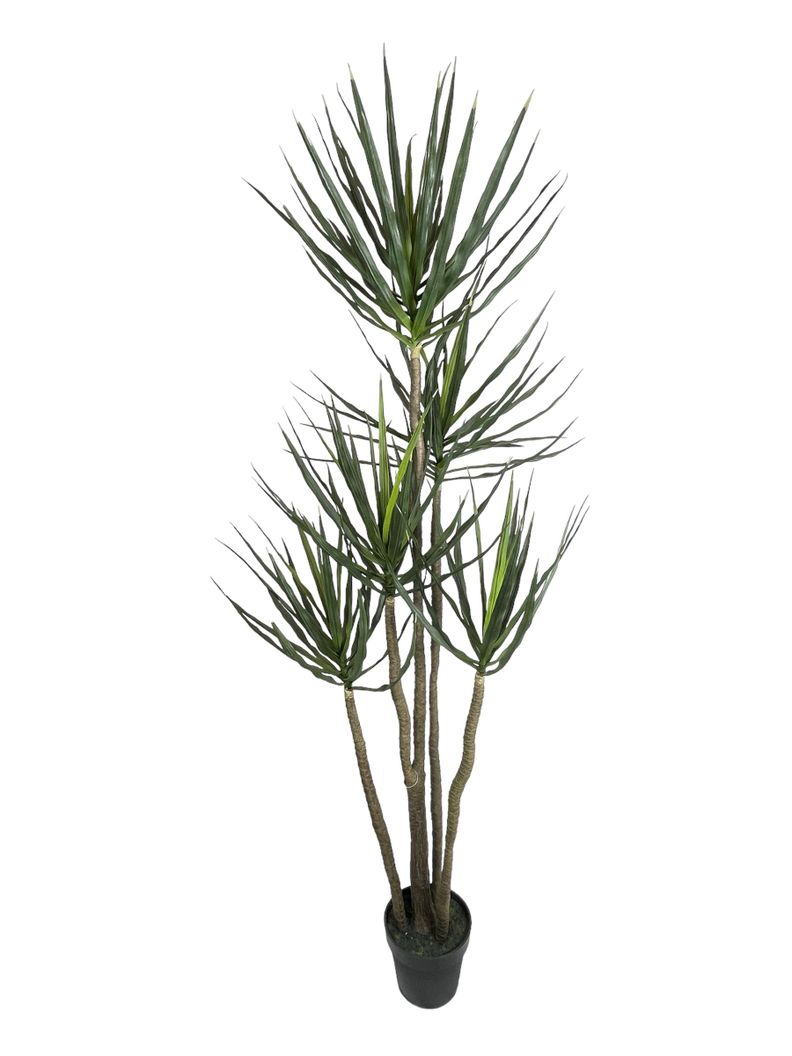 Planta Decorativa Yucca 183cm