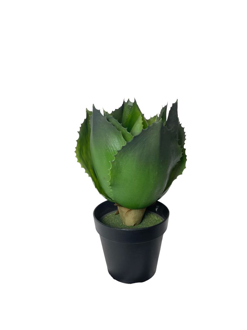 Planta Decorativa Agave 28Cm-0