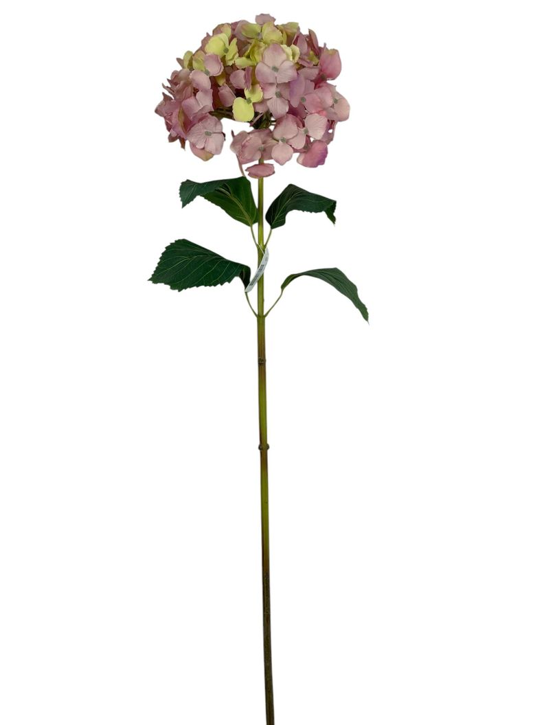 Hortensia Rosa Amarillo Con Hojas 82cm Rosado