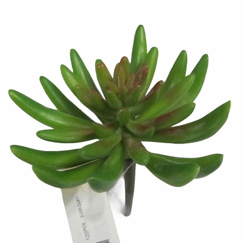Cactus Decorativo Suculenta Verde 13Cm