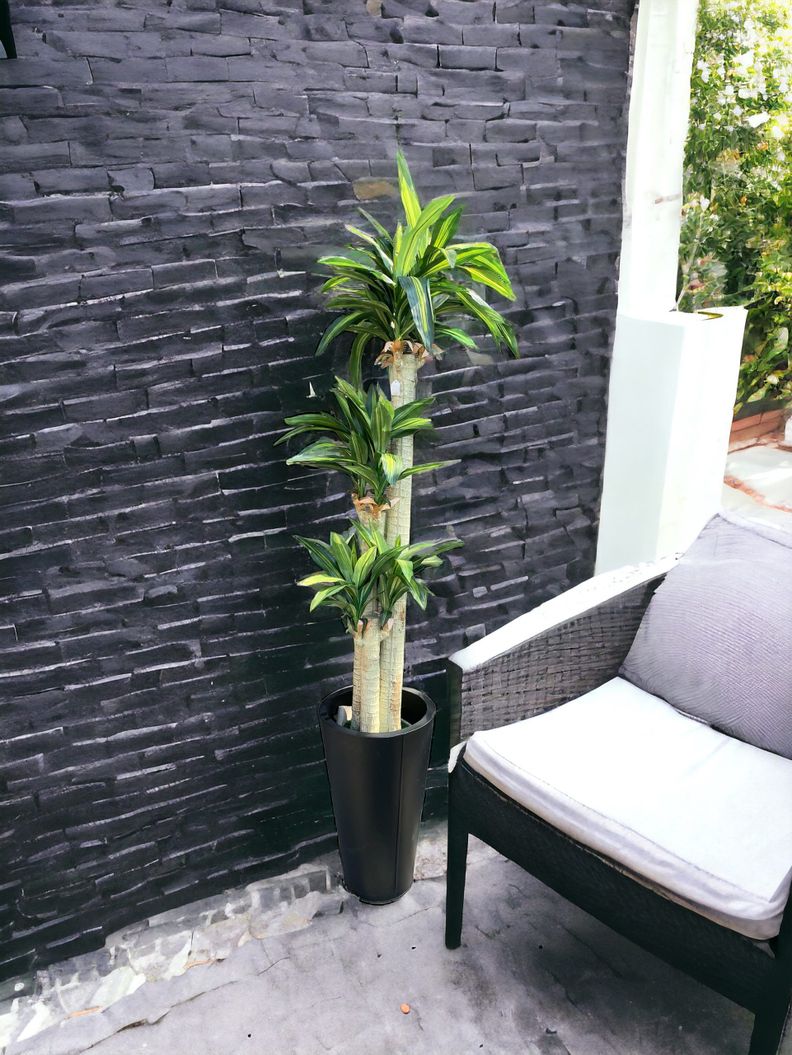 Planta Decorativa Corel Arbol Dracena 166cm-3