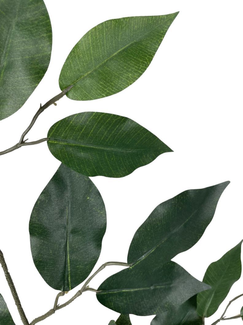 Planta Decorativa Arbol Ficus 240Cm-2