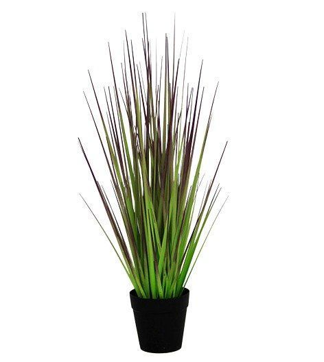 PLANTA DECORATIVA COREL PASTO CEBOLLA MORADO 68CM-0