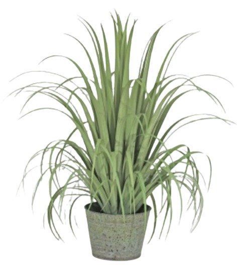 PLANTA DECORATIVA COREL PASTO GRUESO VERDE/GRIS 91CM-0