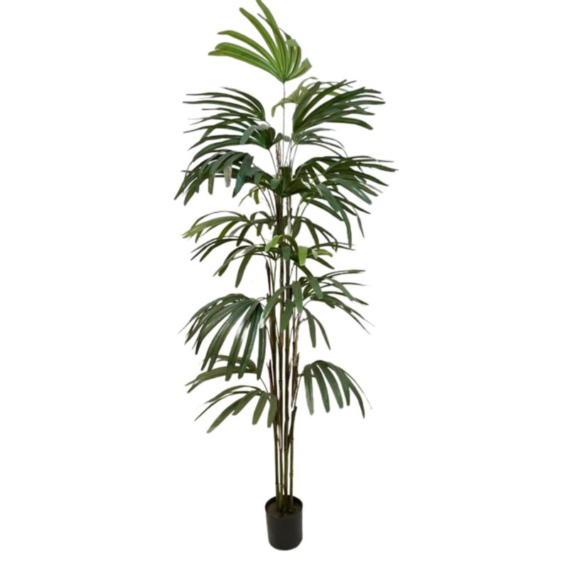 PLANTA DECORATIVA COREL PALMERA RAPHIS 150CM-0