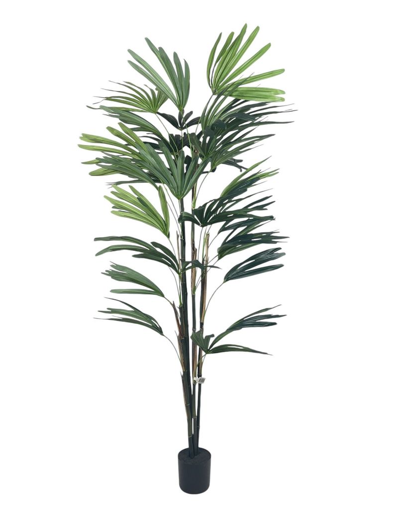 PLANTA DECORATIVA COREL PALMERA RAPHIS 150CM-1