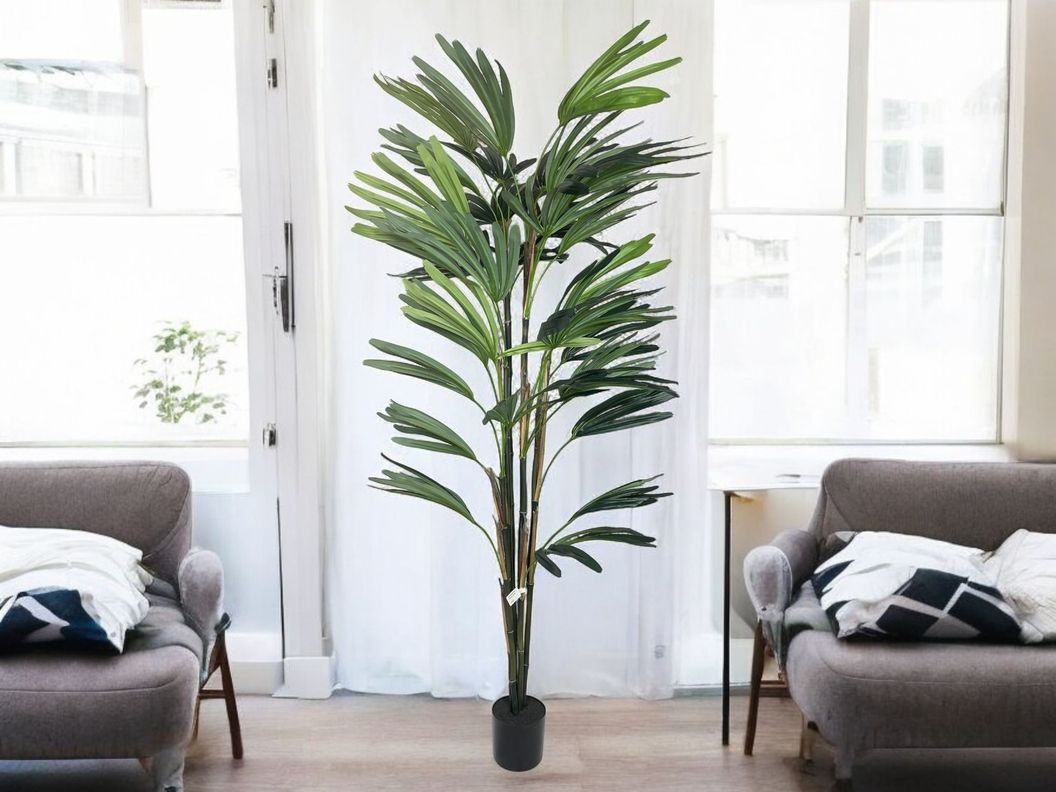 PLANTA DECORATIVA COREL PALMERA RAPHIS 150CM-6