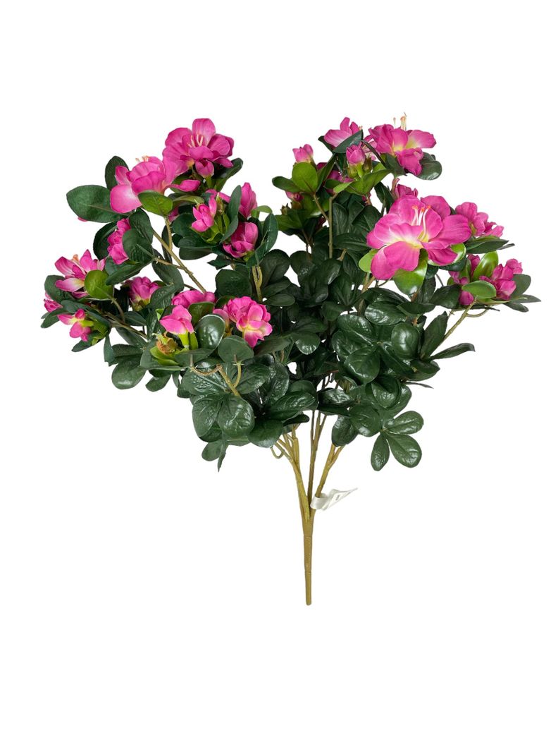 Planta Decorativa Arbusto Rhodendro 39Cm-0