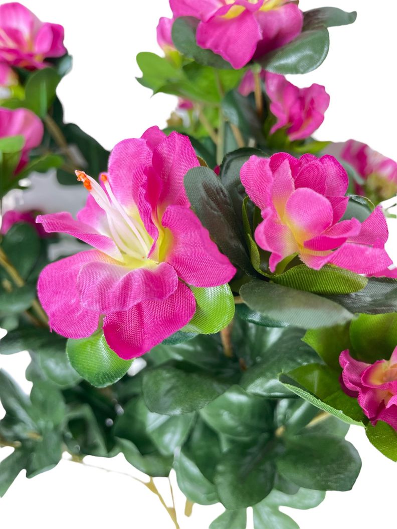 Planta Decorativa Arbusto Rhodendro 39Cm-1