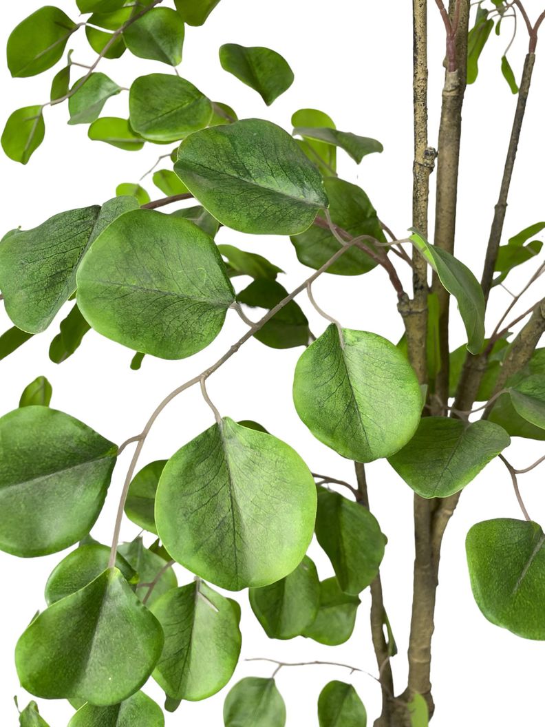 Planta Decorativa Arbol De Eucalipto 150Cm-1