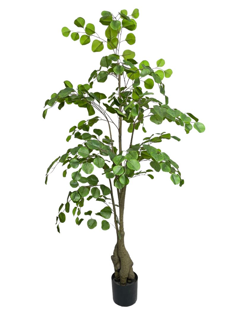 Planta Decorativa Arbol De Eucalipto 150Cm-0