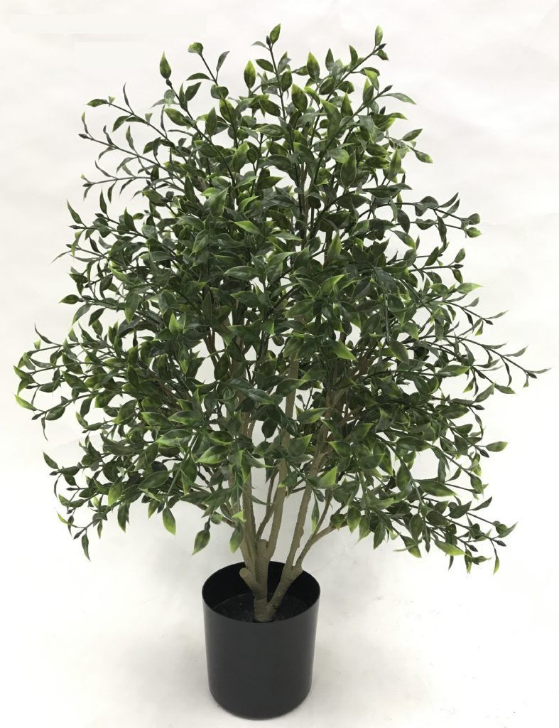 Planta Decorativa Arbusto Boj 76Cm-0