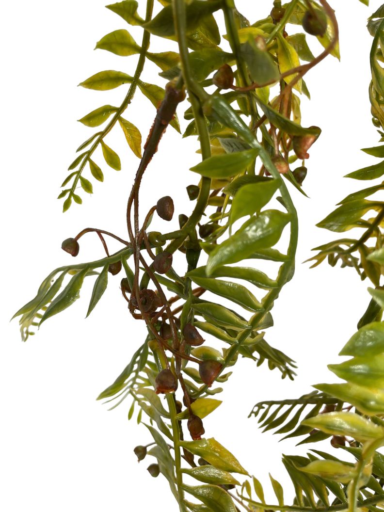 Planta Decorativa Corel Ramo Colgante Cypress Con Berry-1